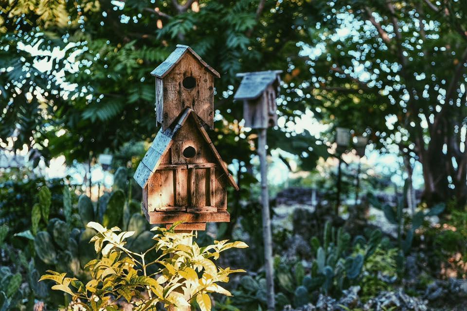 Birdland Beach Club Bolinao Ngoại thất bức ảnh